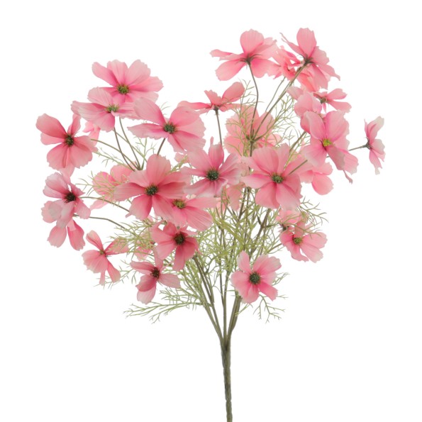 RAMO COSMOS (5205-12)