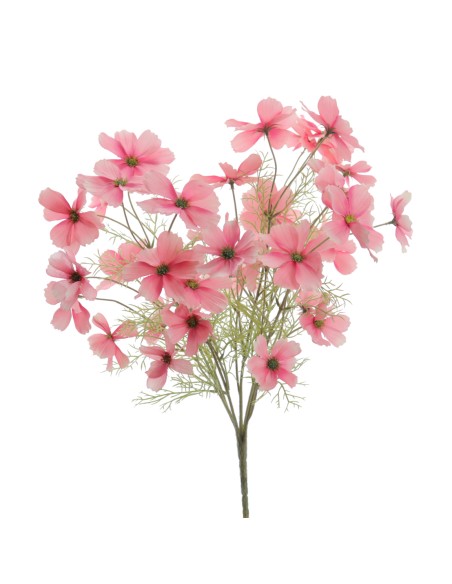 RAMO COSMOS (5205-12)