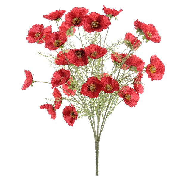 RAMO POPPY 54 CMS (5213-08)