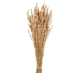 LAVANDA PRESS 45 CMS (05) DORADO
