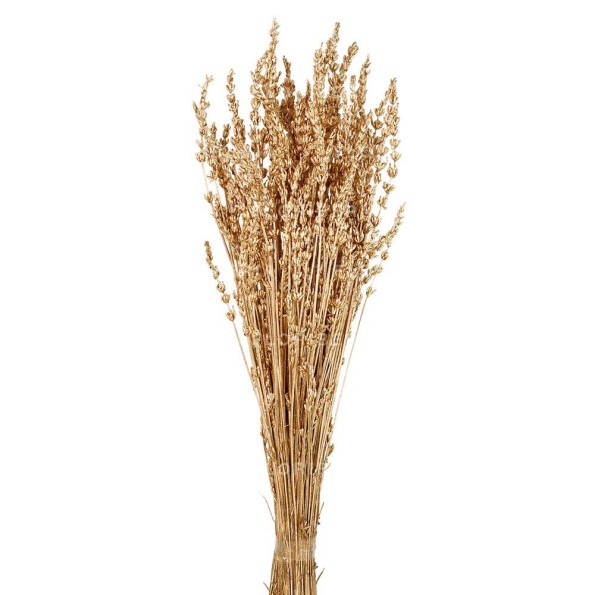 LAVANDA PRESS 45 CMS (05) DORADO