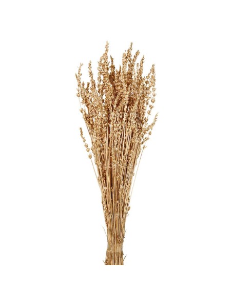 LAVANDA PRESS 45 CMS (05) DORADO