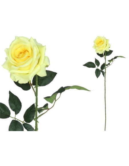 VARA ROSA CLASIC- 79CM (AM)