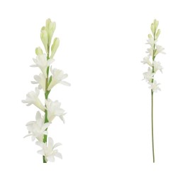 VARA NARDO (S) - 67 CM (BLANCO)