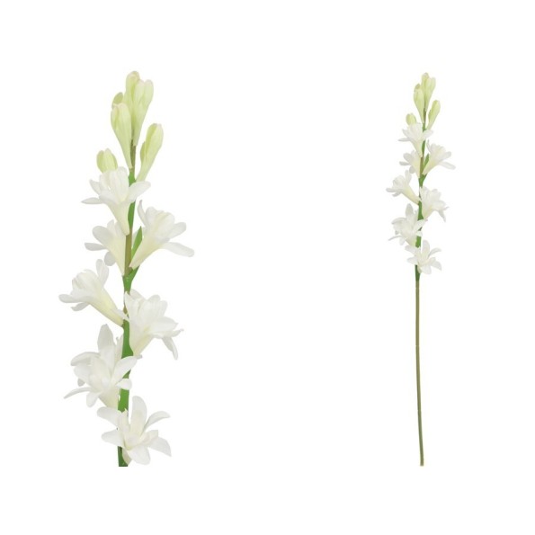 VARA NARDO (S) - 67 CM (BLANCO)