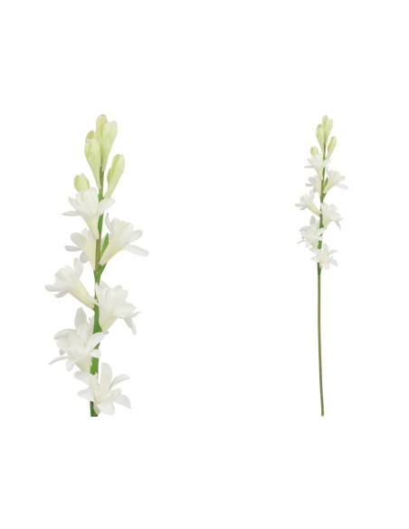 VARA NARDO (S) - 67 CM (BLANCO)