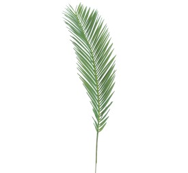 HOJA DE CYCCA (2193-22)