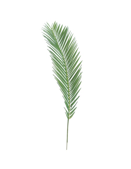 HOJA DE CYCCA (2193-22)