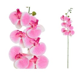 VARA ORQUIDEA R/TOUCH (S)X 6 -76CM(ROSA)