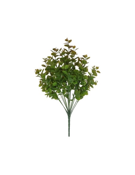 RAMO EUCALIPTUS X 16 - 52 CM (MARRON)