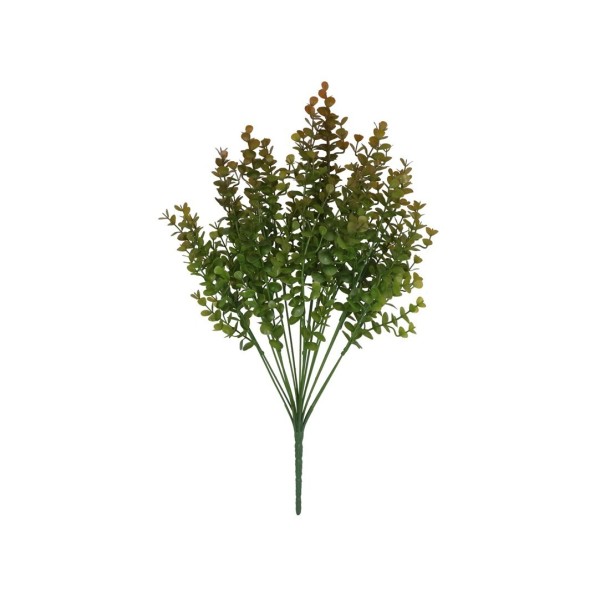 RAMO EUCALIPTUS MINI X 18-54 CM (MARRON)