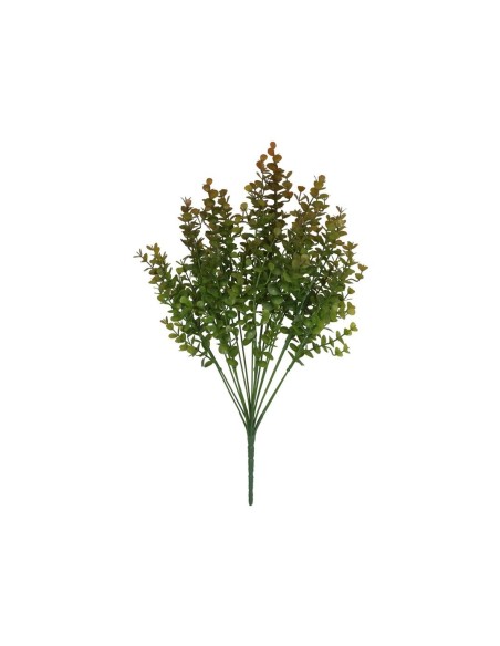 RAMO EUCALIPTUS MINI X 18-54 CM (MARRON)