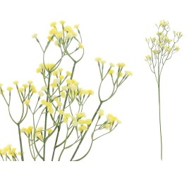 VARA GYPSO BICOLOR R/TOUCH(S) -66CM (AM)