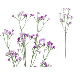 VARA GYPSO BICOLOR R/TOUCH(S)-66CM (VIO)