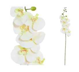 VARA ORQUIDEA R/TOUCH (S)X 6-76CM(CREMA)
