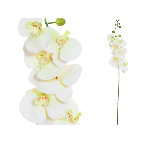 VARA ORQUIDEA R/TOUCH (S)X 6-76CM(CREMA)