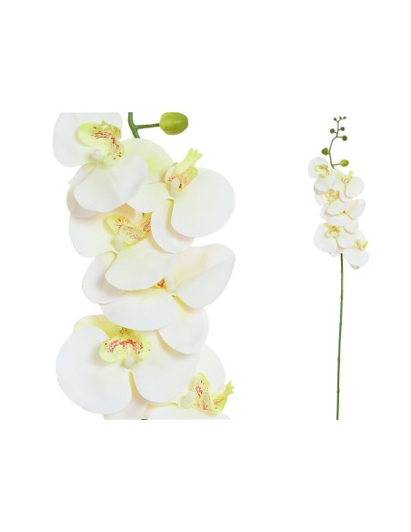 VARA ORQUIDEA R/TOUCH (S)X 6-76CM(CREMA)