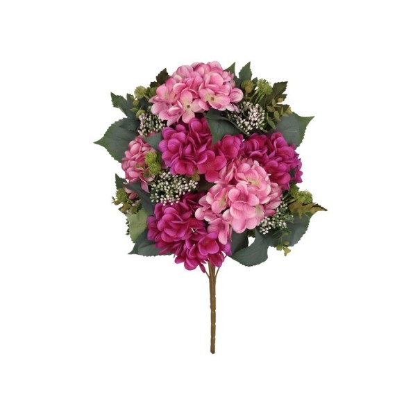 CONJUNTO HORTENSIAS X 11-56 CM (FUCSIA)