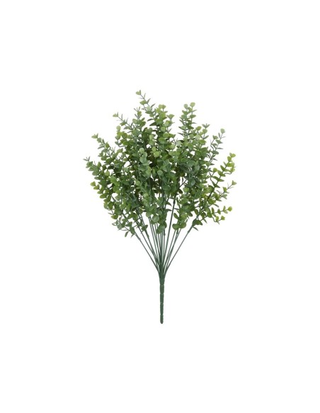 RAMO EUCALIPTUS MINI X 18-54 CM (VER/CL)