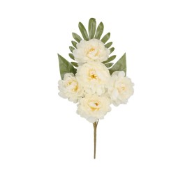 CONJUNTO PEONIA OPEN (A) X 5-52 CM (CR)