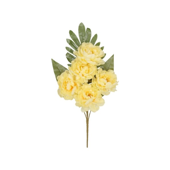 CONJUNTO PEONIA OPEN (A) X 5-52 CM (AM)