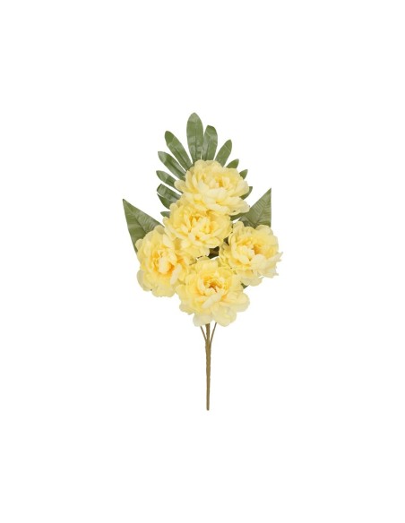 CONJUNTO PEONIA OPEN (A) X 5-52 CM (AM)