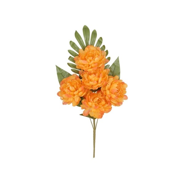 CONJUNTO PEONIA OPEN (A) X 5-52 CM (TE)