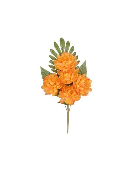 CONJUNTO PEONIA OPEN (A) X 5-52 CM (TE)
