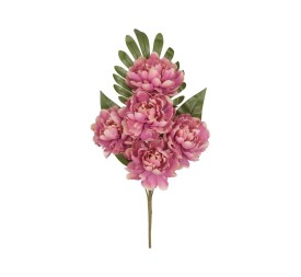 CONJUNTO PEONIA OPEN (A) X 5-52 CM (VIO)