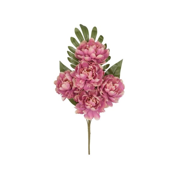 CONJUNTO PEONIA OPEN (A) X 5-52 CM (VIO)