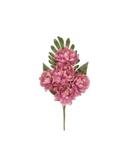 CONJUNTO PEONIA OPEN (A) X 5-52 CM (VIO)