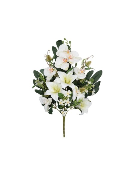 CONJUNTO ORQUIDEA-LILIUM X 11-57CM (BL)