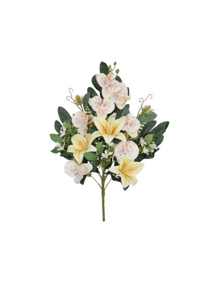 CONJUNTO ORQUIDEA-LILIUM X 11-57CM (AM)
