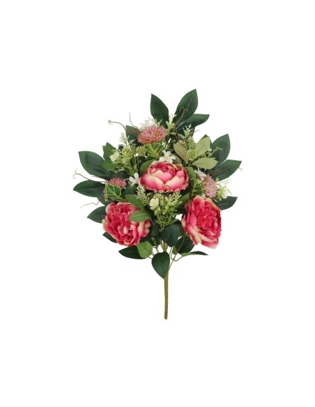 CONJUNTO PEONIA-ALLIUM X 9-56CM (FUCSIA)