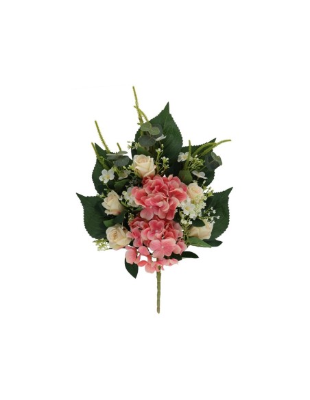 CONJUNTO HORTENSIA-CAP X-12-54 CM (TE)