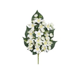 CONJUNTO LILIES-RANUN X 13- 57 CM (BL)