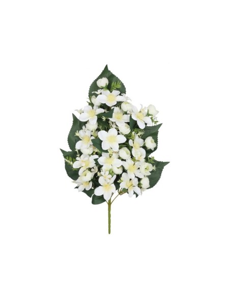 CONJUNTO LILIES-RANUN X 13- 57 CM (BL)