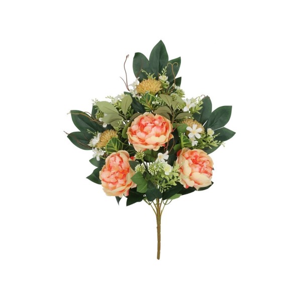CONJUNTO PEONIA-ALLIUM X 9-56CM (TE)