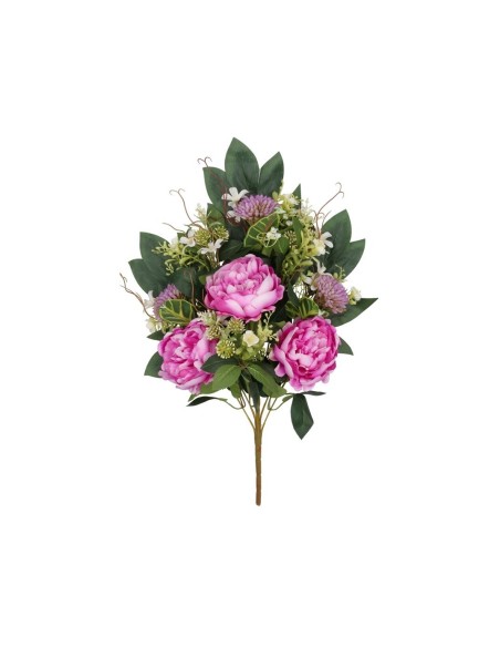CONJUNTO PEONIA-ALLIUM X 9-56CM(VIOLETA)