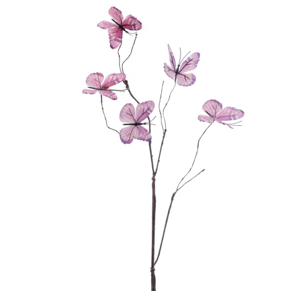 MARIPOSAS 70 CMS (2019-27)