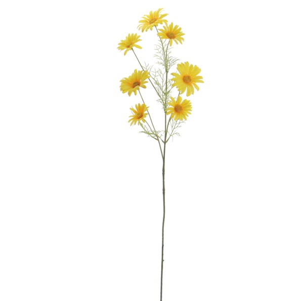 MARGARITAS 76 CMS (2061-02)