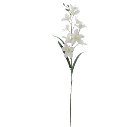 ALSTROMENIA 94 CMS (2098-01)