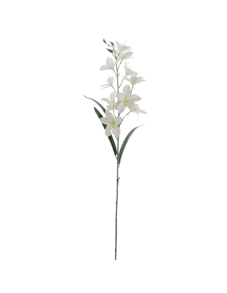 ALSTROMENIA 94 CMS (2098-01)
