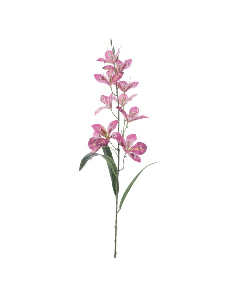 ALSTROMENIA 94 CMS (2098-07)