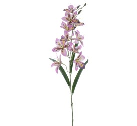 ALSTROMENIA 94 CMS (2098-16)