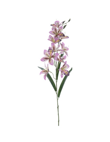 ALSTROMENIA 94 CMS (2098-16)
