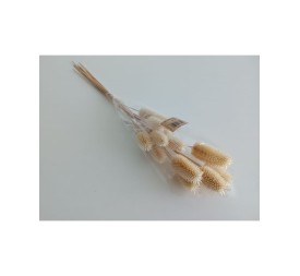 CARDO MINI 35 cms. (00) BLANCO