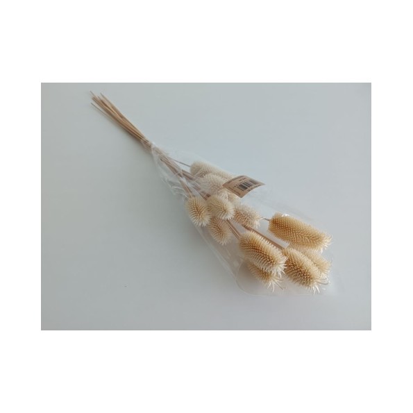 CARDO MINI 35 cms. (00) BLANCO