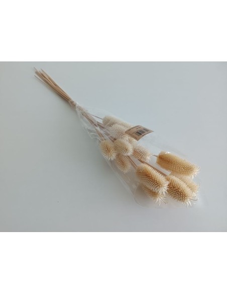 CARDO MINI 35 cms. (00) BLANCO