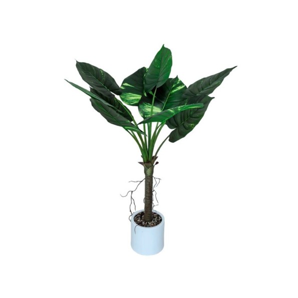 PLANTA POTUS C/ MACETA LUX X 10 - 100 CM